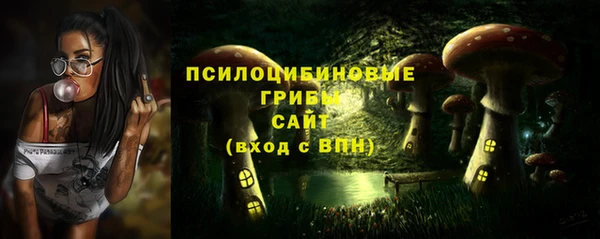 соль курить ск Богородск