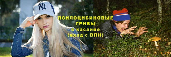 ПСИЛОЦИБИНОВЫЕ ГРИБЫ Богородицк