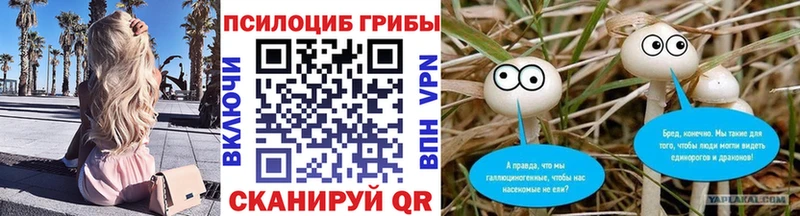 Псилоцибиновые грибы GOLDEN TEACHER  где продают   Бугульма 