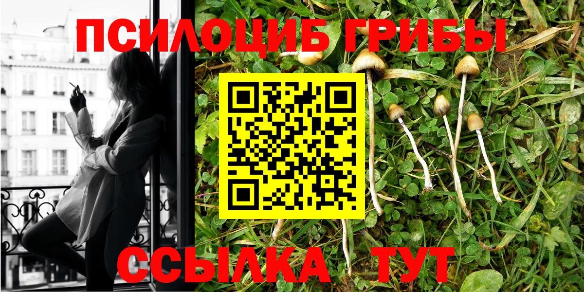 Бугульма  Галлюциногенные грибы Psilocybine cubensis  Вход с VPN 