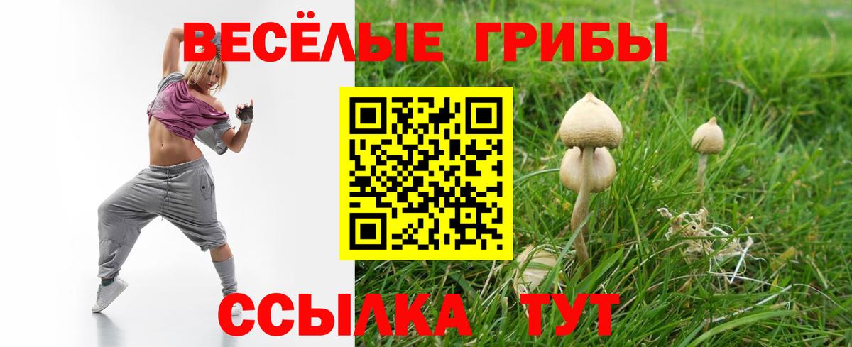 Псилоцибиновые грибы мухоморы Бугульма